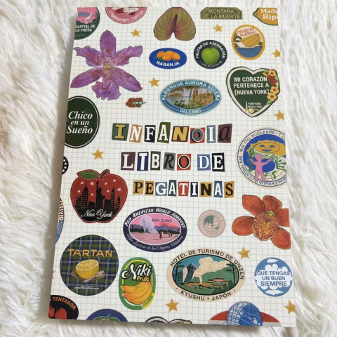 🎀✨ Libro de Pegatinas Aesthetic Girlhood – Cientos de Stickers Kawaii para Decorar Diarios, Laptops y Cartas 💖📔